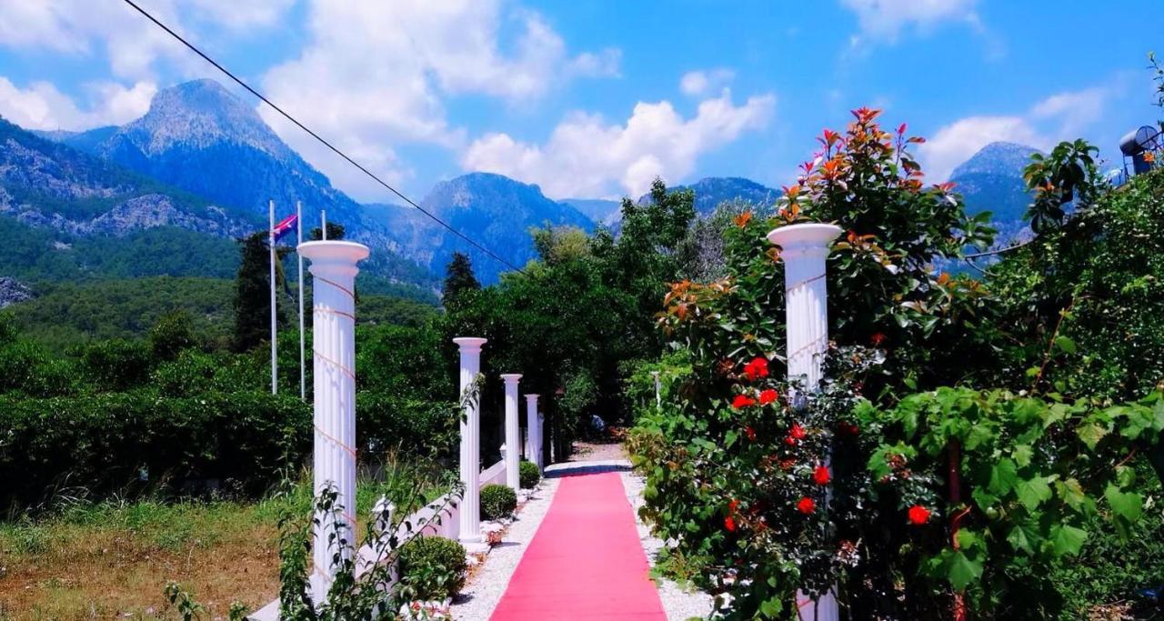 בלדיבי Castle Park Hotel מראה חיצוני תמונה