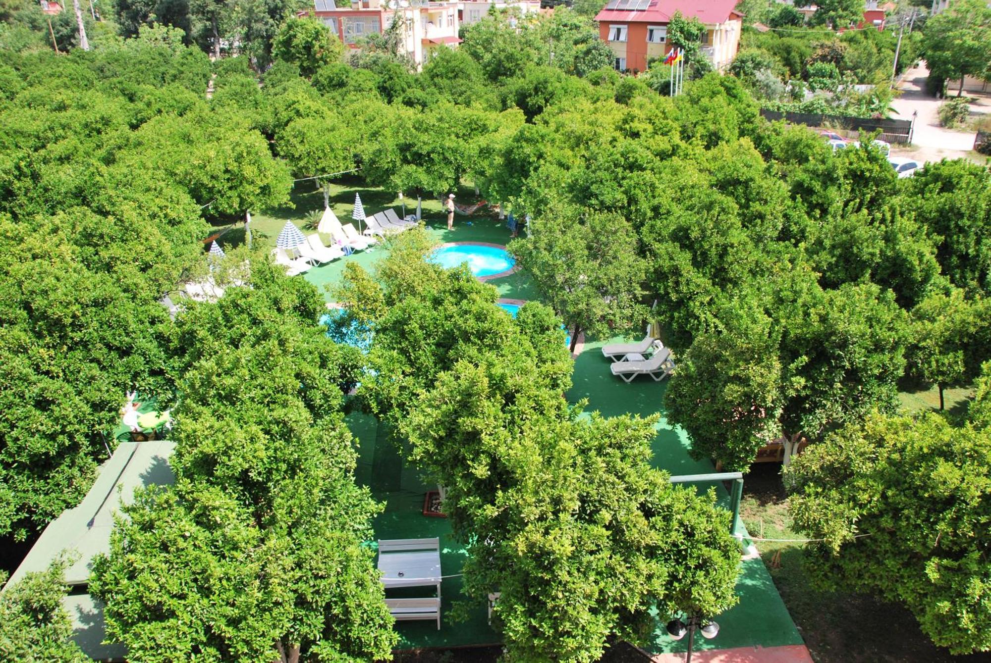בלדיבי Castle Park Hotel מראה חיצוני תמונה