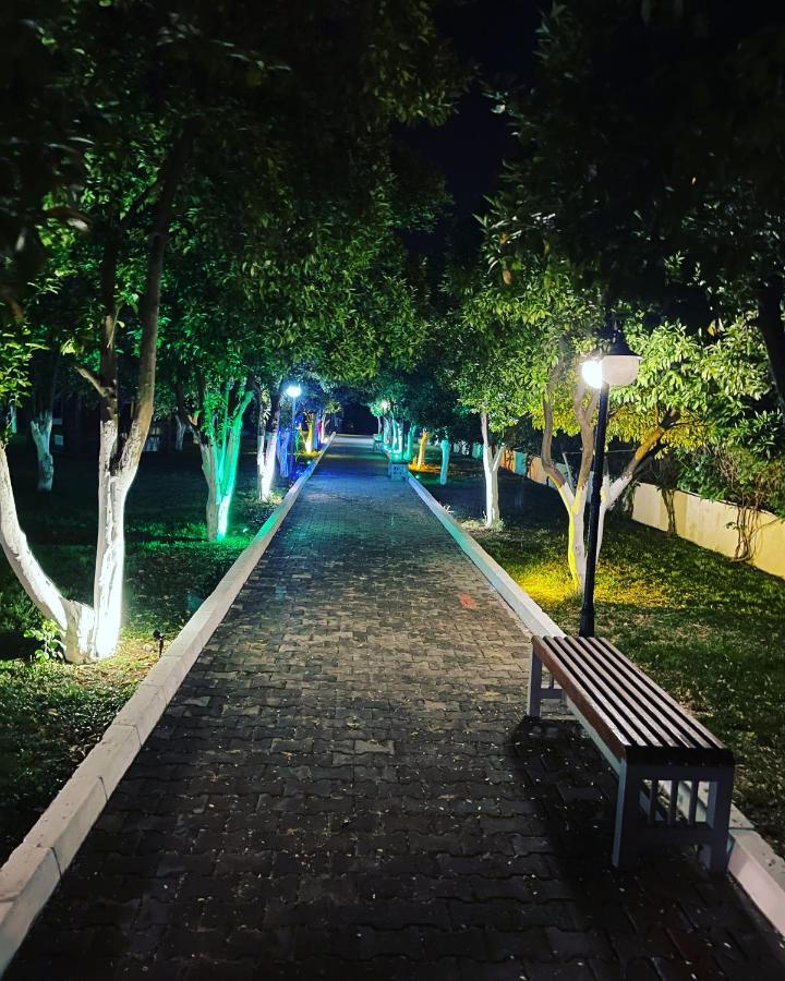בלדיבי Castle Park Hotel מראה חיצוני תמונה